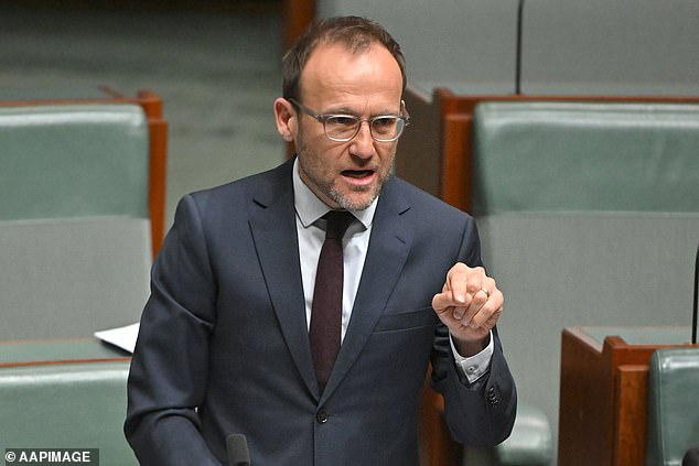 Should Albo lead a minority government, Greens leader Adam Bandt will likely be in the box seat over whether the PM stays or goes