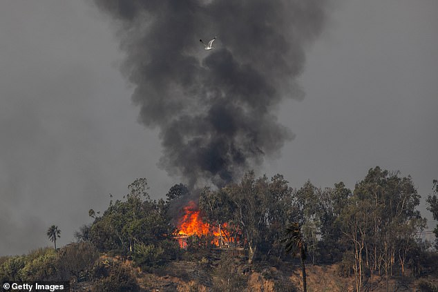 Flames (seen above) from the Palisades Fire burns a home amid a powerful windstorm on Thursday