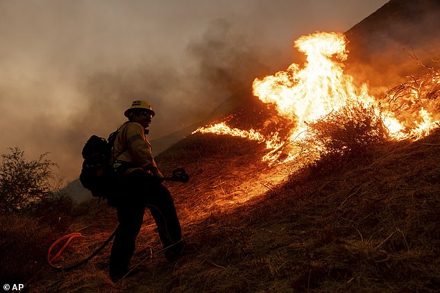 A firefighter monitors the advance of the Kenneth Fire in the West Hills section of Los Angeles on Thursday. The Kenneth Fire, which sparked mass evacuations in Calabasas ¿ home to the Kardashians ¿ and the Hidden Hills is being investigated as an arson incident, with one suspect arrested