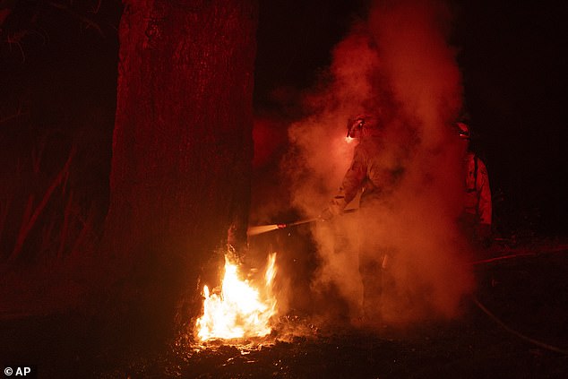 Two new blazes broke out overnight in the Hollywood Hills and Studio City - forcing first responders to redeploy their already-scarce resources to the burnt landscape