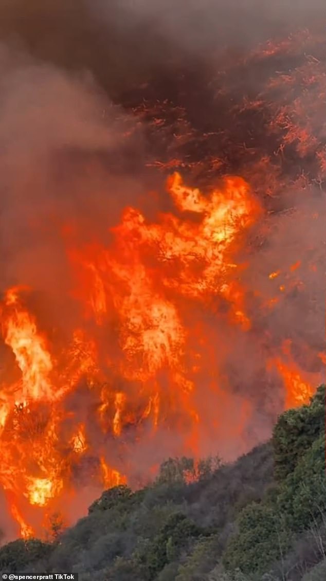 The only parts of the home still standing were the charred entry gate and the front portion of the home's stucco perimeter wall. Large piles of debris were seen throughout the property as well as burnt foliage that once decorated the home's front yard