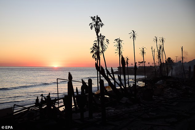 Remnants of homes destroyed by the Palisades wildfire remain in Malibu, California