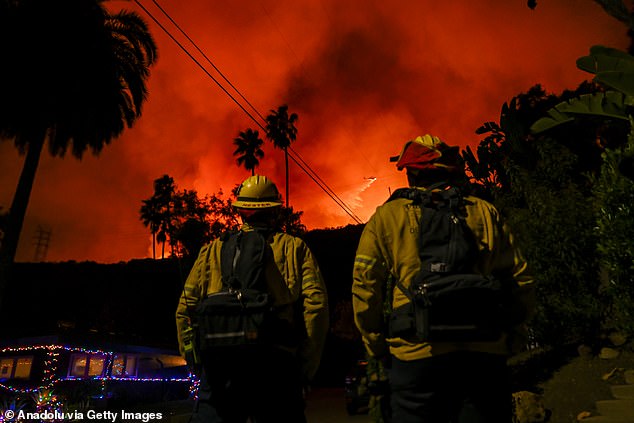 The Hollywood Hills were going up in flames and Reynolds had to act fast to help her friend just a few minutes away in Runyon Canyon, she told 9news.com.au