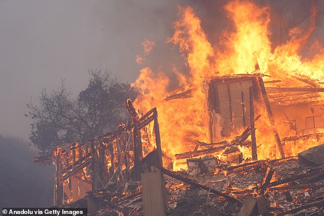 In the Palisades Fire alone - which began on Tuesday morning - an estimation of around 5,300 structures have been destroyed which includes homes, churches and schools; taken on Saturday