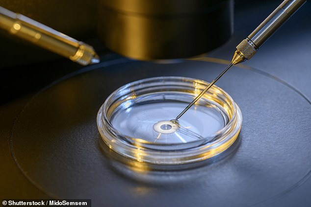 One in six couples experience infertility and more than 50,000 patients undergo IVF in the UK every year, with the number rising annually (stock image)