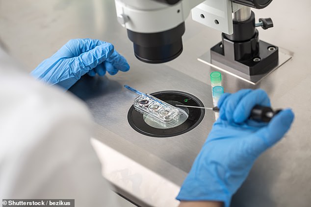 AI systems, trained on vast data sets of ultrasound images, patient health metrics, and time-lapse embryo monitoring, are being used in some clinics to select high-quality sperm and eggs, and then embryos, for both fertilisation and implantation (stock image)