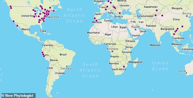 Map displaying occurrences of powdery mildew bacteria globally taken from recent  University of North Carolina study showing high concentrations of the fungus in the north eastern regions of the United States