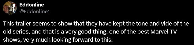 'This trailer seems to show that they have kept the tone and vibe of the old series, and that is a very good thing,' a different tweet read. 'One of the best Marvel TV shows, very much looking forward to this.'