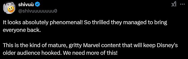 'It looks absolutely phenomenal! So thrilled they managed to bring everyone back,' one tweet with another raving review read. 'This is the kind of mature, gritty Marvel content that will keep Disney's older audience hooked. We need more of this!'