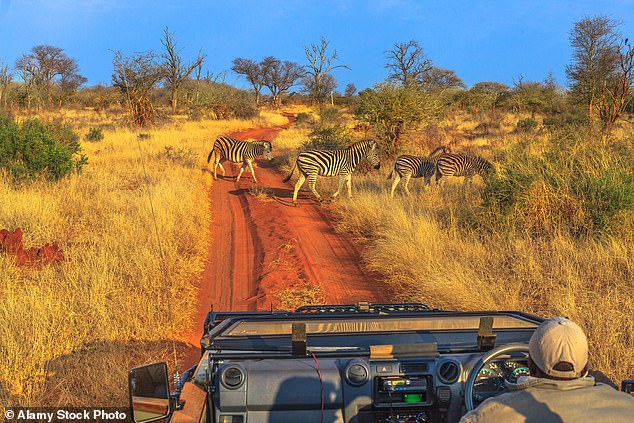 The little-known Madikwe Game Reserve is perfect for getting up close and personal with exotic Safari animals