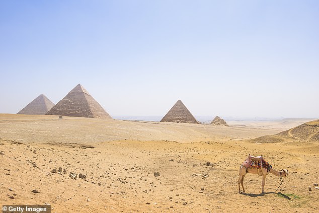 Travel to Egypt this winter for the Pyramids, Sphinx and the new Egyptian museum in Cairo