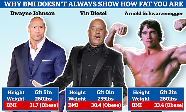 Hollywood hunk or hulk? Muscular celebrities like Dwayne 'The Rock' Johnson, Vin Diesel and Arnold Schwarzenegger are deemed obese under the Body Mass Index formula which is widely used by health authorities around the world. Some scientists are now arguing it should be replaced. Figures for Mr Schwarzenegger are from his 'peak' as a bodybuilder