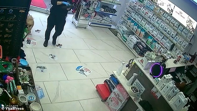 One of the veterinary technicians notices the mother dog and leads her through to the treatment room with her puppy in tow