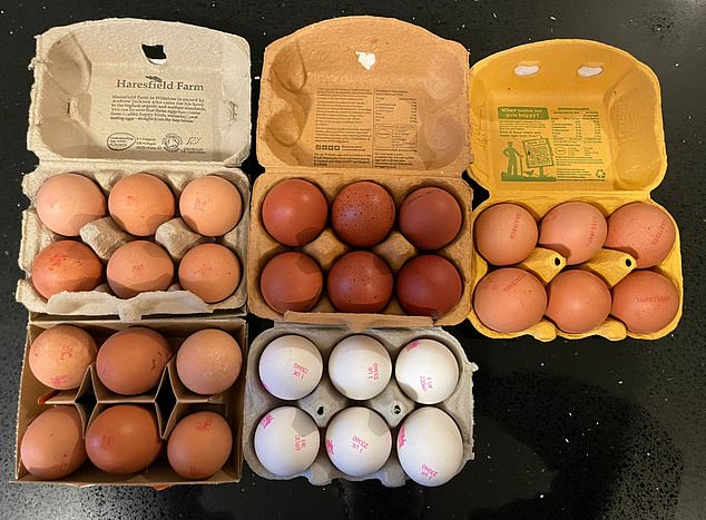 Regardless of whether you take yours over-easy or sunny side up, supermarket shelves are increasingly catering to people who want even more from the staple ingredient, with prices hiking up in exchange for promises of yummier yolks, happier hens or more bougie shell colouring