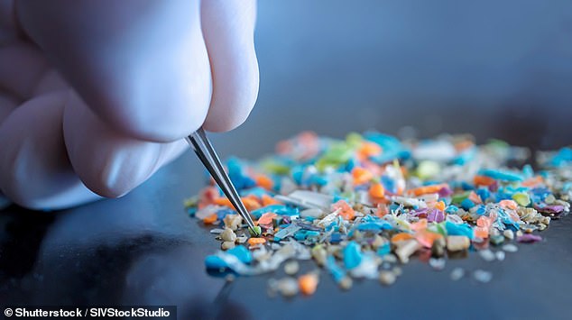 Microplastics remain in the environment ¿ across the food chain and drinking water ¿ as well as in the human body (stock image)