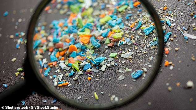 Experts now believe the prevalence of microplastics in the environment, where the bacteria begin life, is what is causing them to mutate, leading to more drug-resistant infections (stock image)