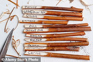 There are lots of creative and sustainable ways to make plant labels including using dry sticks from the garden (Stock Image)