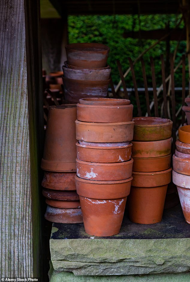 Plant pots should be thoroughly cleaned in between uses to prevent the transfer of pests and diseases (Stock Image)