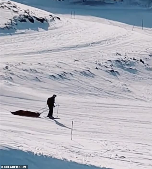 Skiers plunged to the ground after falling from the chairlift, while others jumped