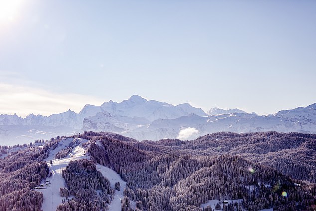 Ted 'enjoys cruising Les Gets' tree-lined blues' and 'gazes in wonder at Mont Blanc [above] from a viewpoint'