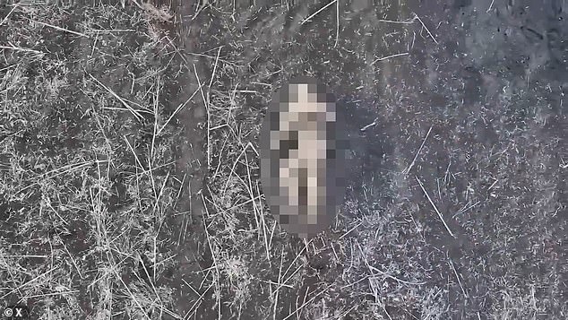 The body of a Russian soldier lies helplessly after a drone dropped a grenade onto him