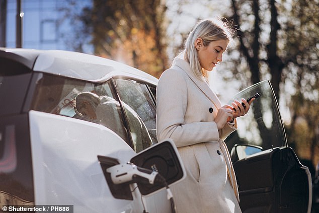 Running flat: Electric car charging point maker Pod Point said it brought in revenues of around £53m in 2024 – well below the £60m it was expecting