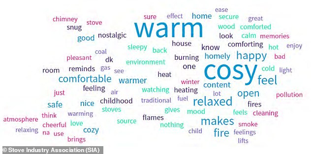 Word cloud summary of the most commonly reported words in response to connotations of wood burning, according to 2023 YouGov survey