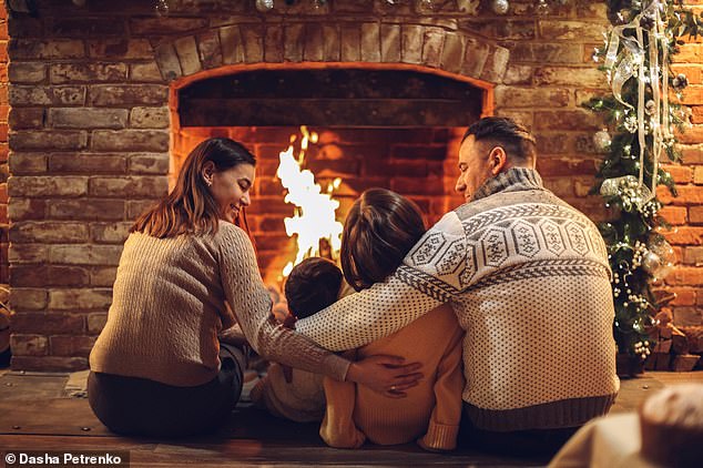 Wood-burning stoves also promote a range of social and familial benefits because they represent a communal meeting place within a home (file photo)