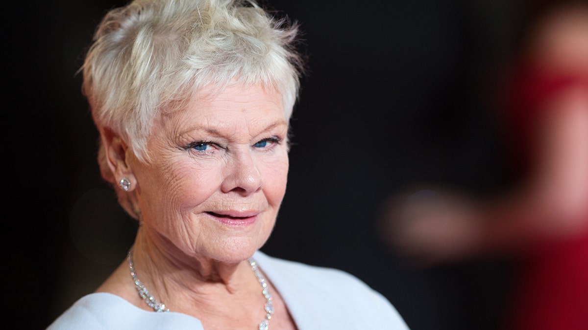 Judi Dench at a premiere