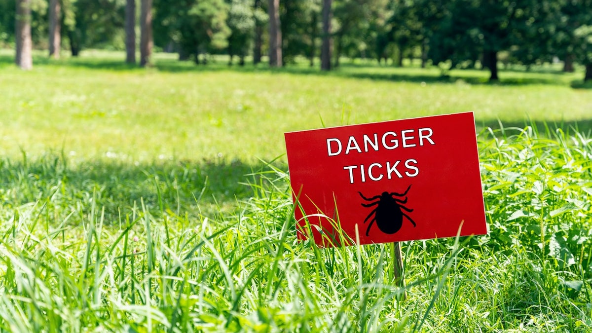 Danger ticks