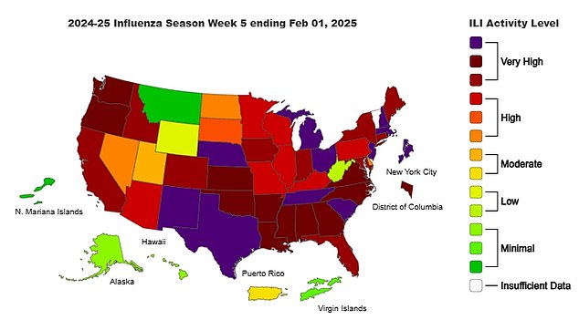 The above map shows flu activity levels across the US. Forty-five states have either high or very high levels of the virus, data shows