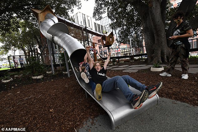 New guidelines will recommend height restrictions for giant slides (pictured)